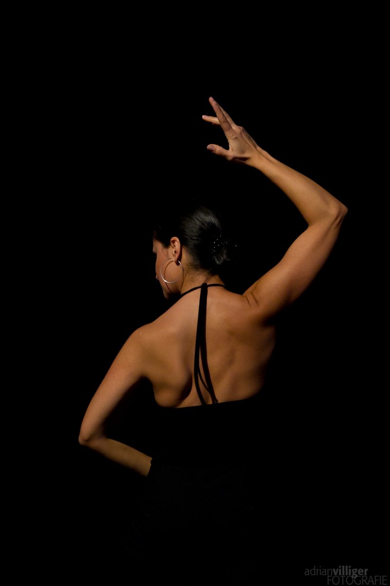 flamenco_alicia_stock