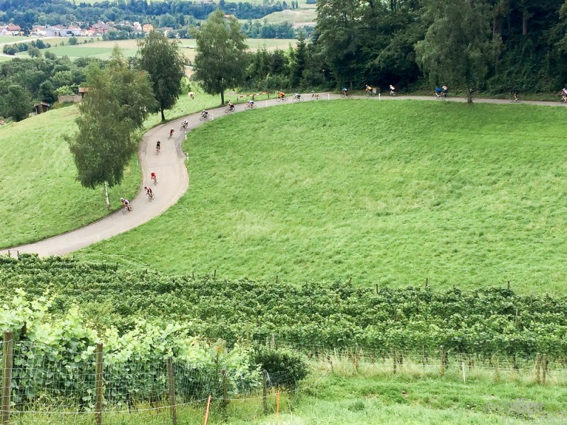 dodici_apostoli_2014-4394