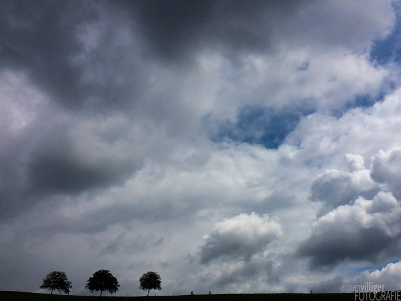 dodici_apostoli_2014-4401