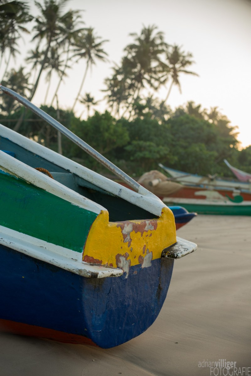 15_D600_SriLanka-6837