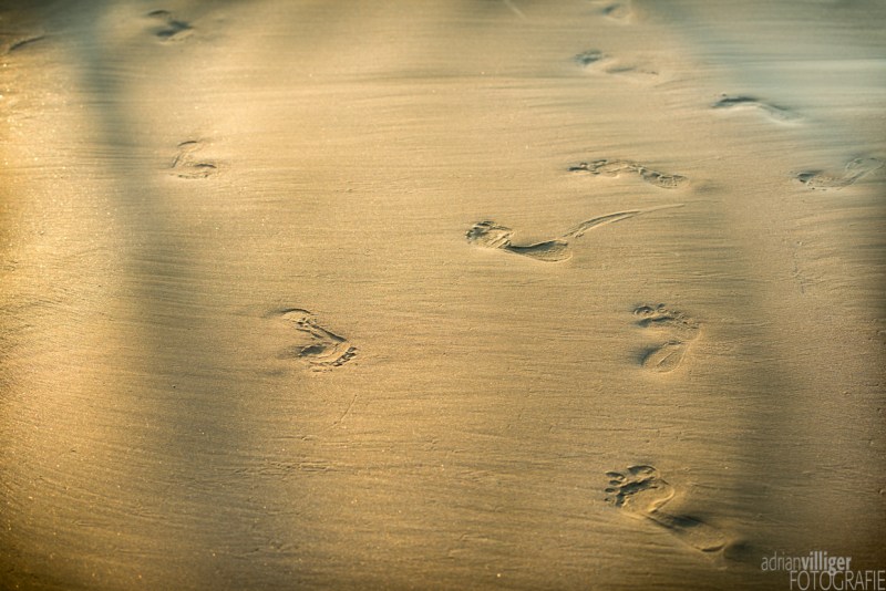 15_D600_SriLanka-6868