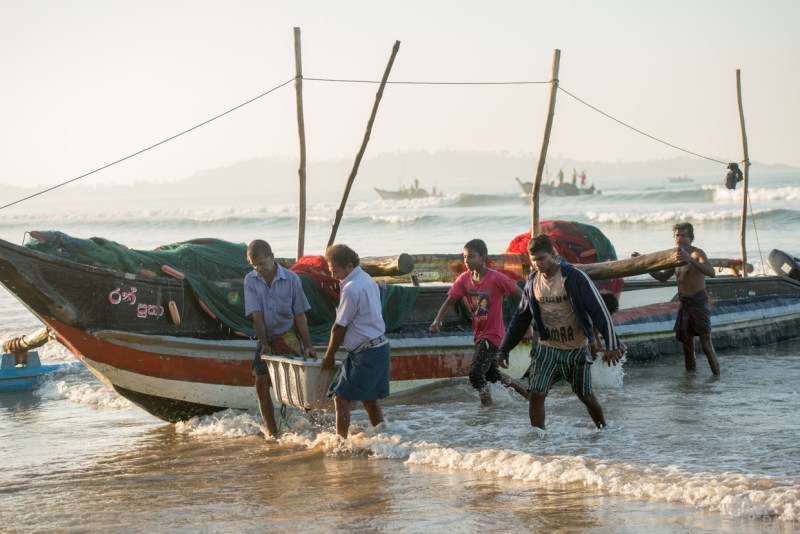 15_D600_SriLanka-6896