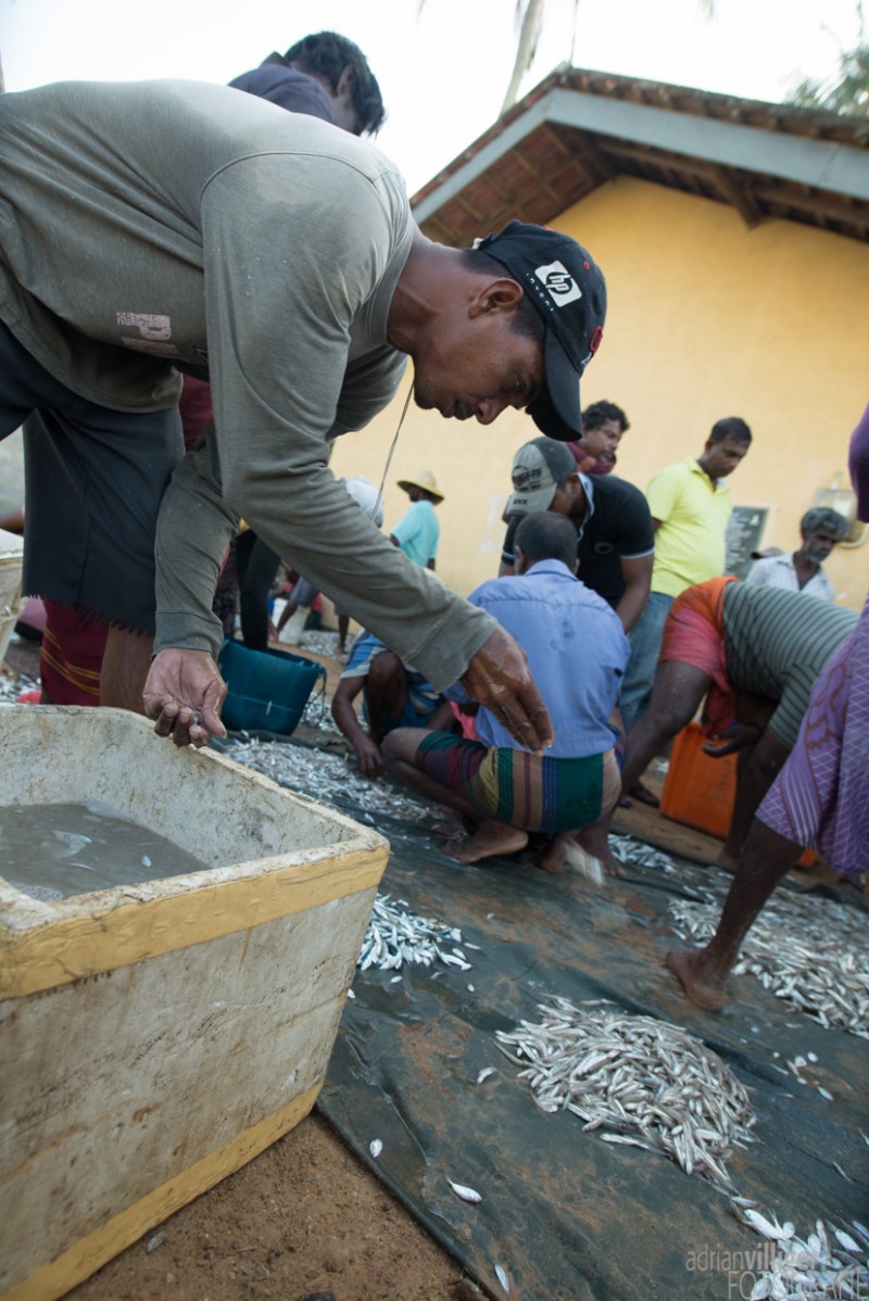 15_D600_SriLanka-7334