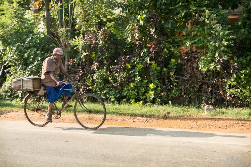 15_D600_SriLanka-7364