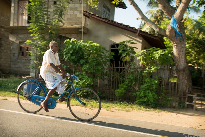 15_D600_SriLanka-7366