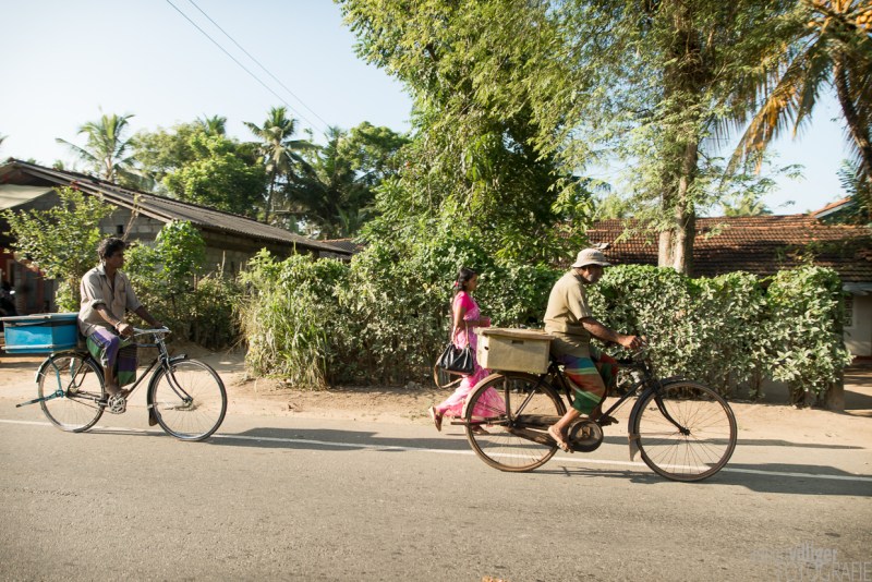 15_D600_SriLanka-7371