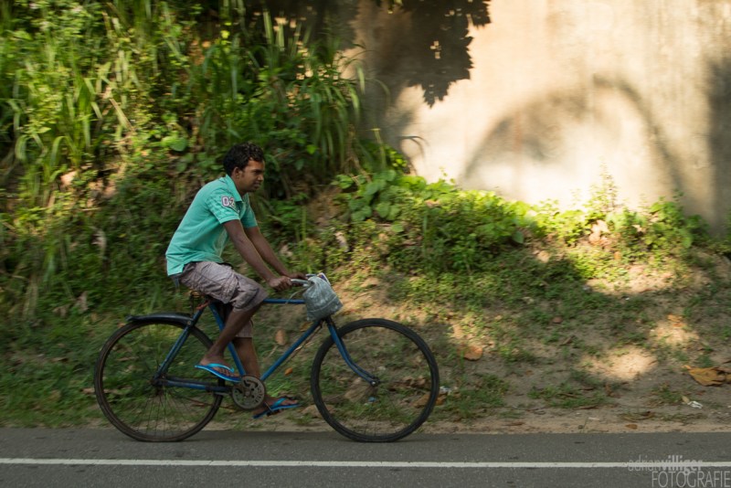 15_D600_SriLanka-7379