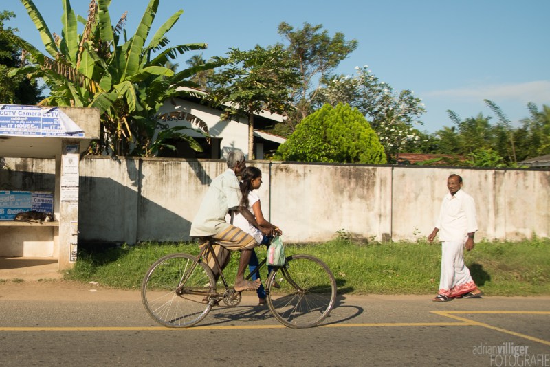 15_D600_SriLanka-7390