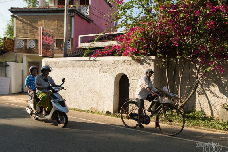 15_D600_SriLanka-7400