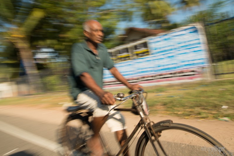 15_D600_SriLanka-7468