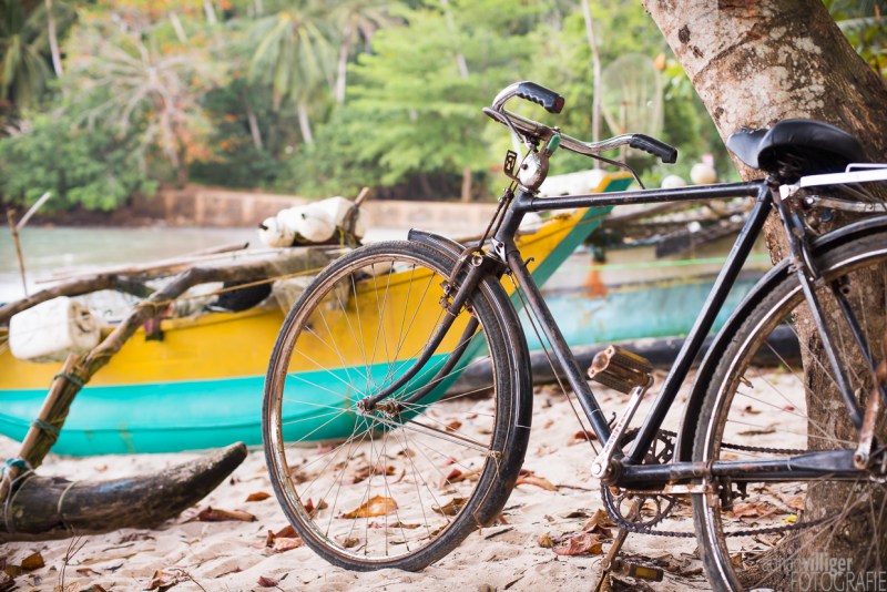 15_D600_SriLanka-8406