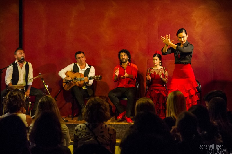 16_d3s_tomaketoma-6086