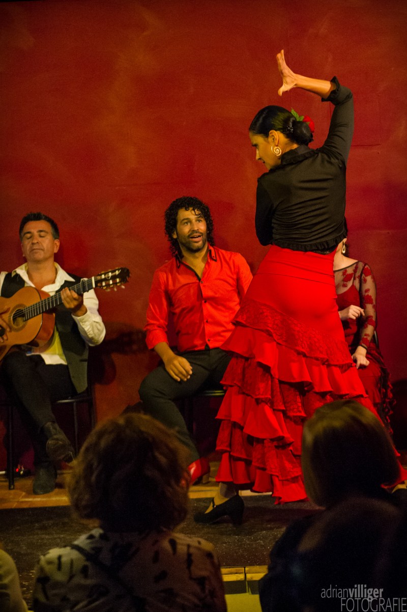 16_d3s_tomaketoma-6189