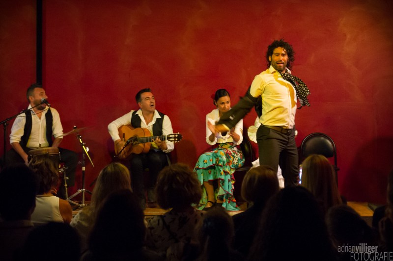 16_d3s_tomaketoma-6568