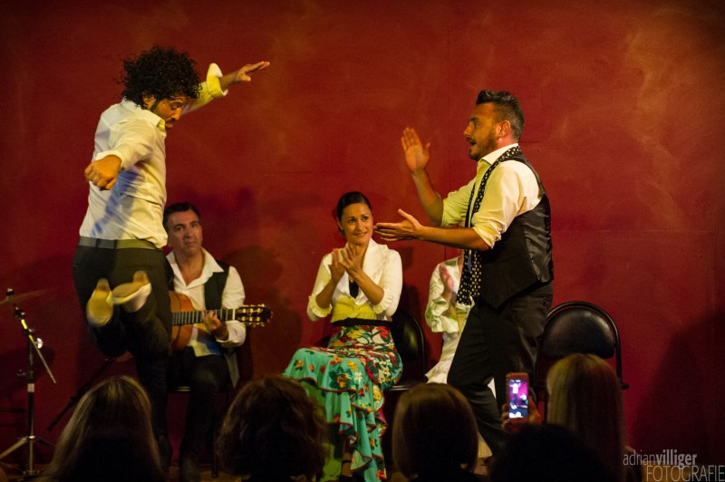 16_d3s_tomaketoma-6648