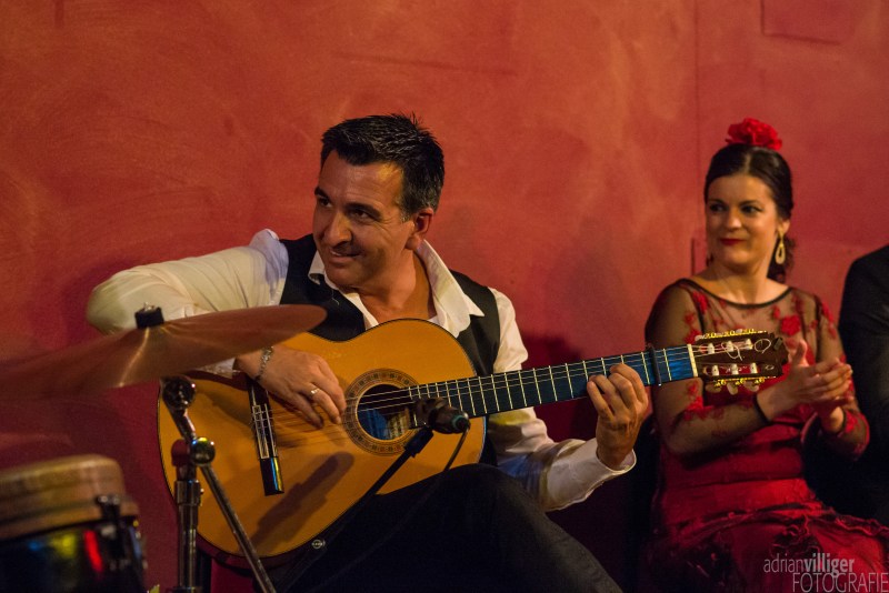 16_d600_tomaketoma-4441