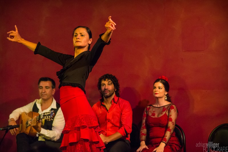 16_d600_tomaketoma-4531