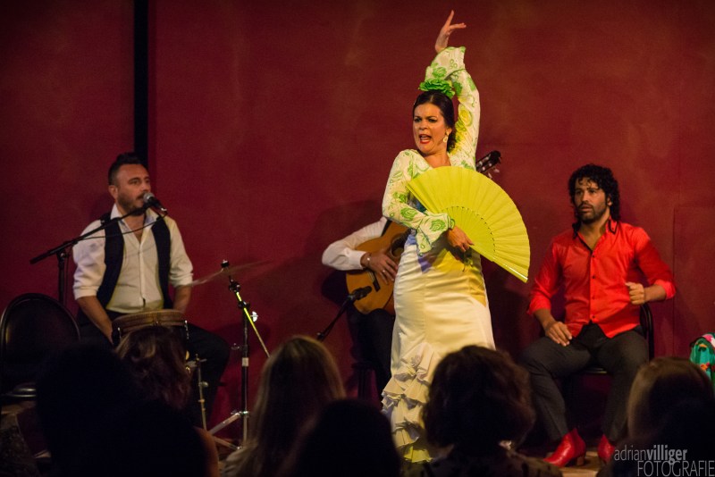 16_d600_tomaketoma-4642