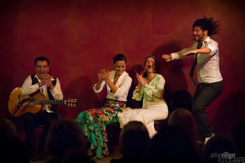 16_d600_tomaketoma-4903