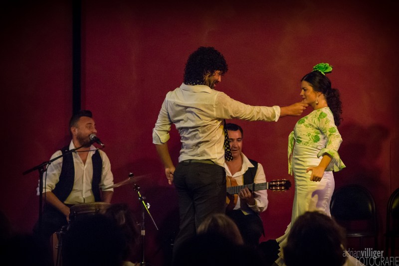 16_d600_tomaketoma-5010