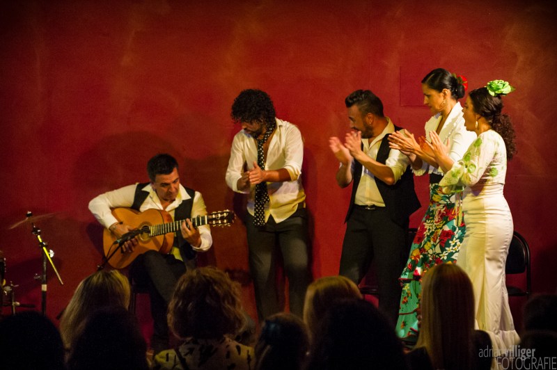 2016_09_17_al_flamenco_bern-145