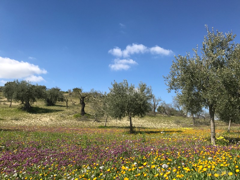 sicily_with_chris_1440px_72dpi-20