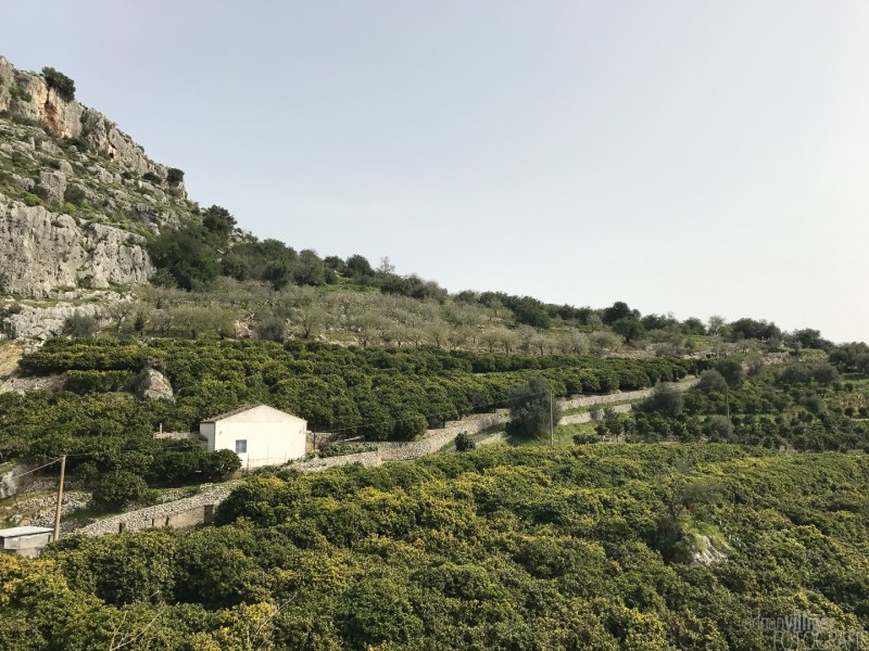 sicily_with_chris_1440px_72dpi-29