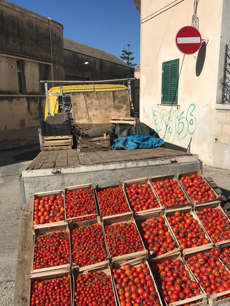 sicily_with_chris_1440px_72dpi-8